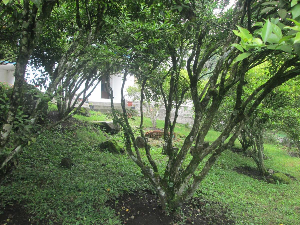 Casa Martin En Banos De Agua Santaヴィラ エクステリア 写真